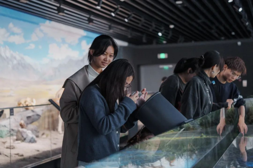 黄色网址大全