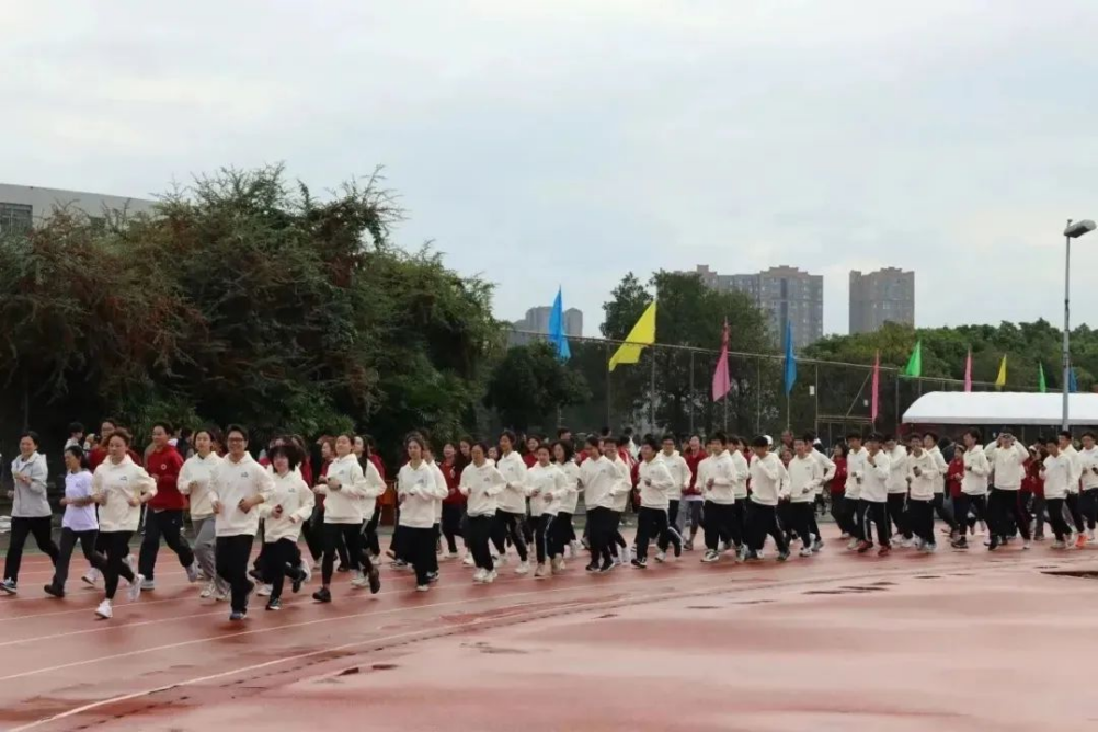 黄色网址大全