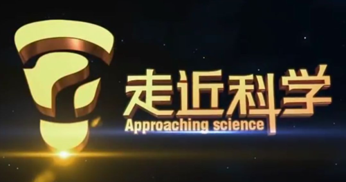 黄色网址大全